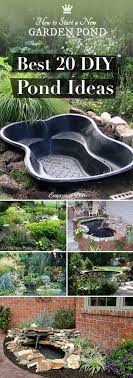 Diy Pond Ideas Avec Images Jardin D Eau Bassin De Jardin Fontaine De Jardin
