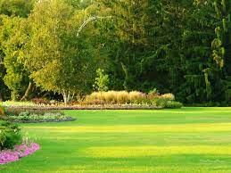 Maybe you would like to learn more about one of these? Summer Garden Wallpapers Top Free Summer Garden Backgrounds Wallpaperaccess
