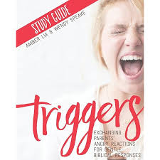 Food Triggers: Exchanging Unhealthy Patterns for God-Honoring Habits : Lia,  Amber: Amazon.sg: Books