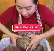 Khám Phá Khoai Môn Lệ Phố Năng Động