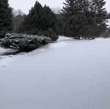 Fereshteh Hamidi (@fereshteh_hamidi_) • Instagram photos and videos