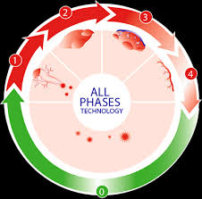 As the virus reproduces, it damages the skin and leads to blister formation that lasts about a week. The 4 Phases Of A Cold Sore The Cold Sore Lifecycle
