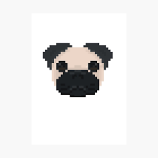 Earpads for sennheiser px100 80 px200 koss porta sporta pro ksc 35 75. Pug Pic 10 80 Px 10 80 Px Page 10 20 From Funny Pictures 391