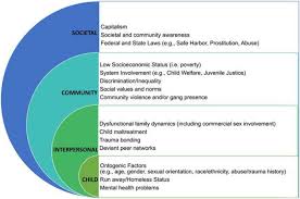 We do not allow content that: A Traumagenic Social Ecological Framework For Understanding And Intervening With Sex Trafficked Children And Youth Springerlink