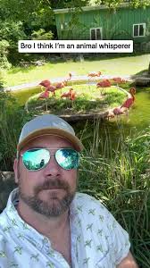 Hilarious Driving Fail Compilation