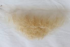 Blonde pubic hair pictures