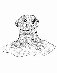 Pin On Coloring Page For Adults