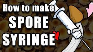 Bore a small hole big enough for a syringe needle in the lid/screw cap of your jar. How To Make A Spore Syringe From Spore Print Youtube