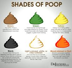 Normal stool color is brown. 16 Ways To Achieve A Healthy Poop Drjockers Com