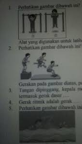 Senam satu ini juga sering disebut sebagai straddle vault. 1 Perhatikan Gambar Dibawah Ini Alat Yang Digunakan Untuk Latihan Pada Gambar Diatas Disebat 2 Brainly Co Id