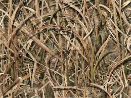 Waterfowl Camo Wallpapers Top Free Waterfowl Camo Backgrounds Wallpaperaccess