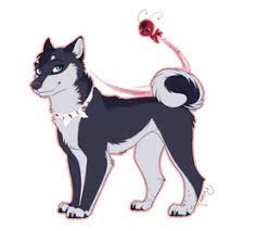 Trending airbnb has betrayed my trust: Pin By Mariafegoicohea On Miraculous Miraculous Ladybug Anime Anime Dog Miraculous Ladybug And Cat Noir