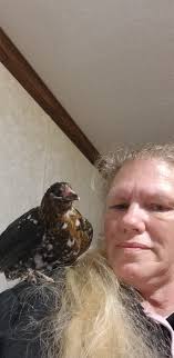 MILLE FLEUR D'UCCLE CHICKENS