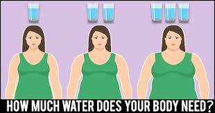 By committing to drinking half your body weight in ounces of water each day, research says you can expect additionally, water helps your body maintain and regulate its energy stores. Your Weight Loss Can Depend A Lot On How Much Water You Drink In A Day Here S Why