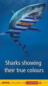2020 super rugby round seven: Stormers Vs Sharks Rugby Pictures Shark Show Ocean Creatures