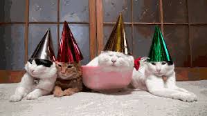 Los gatos no muestran sus emociones con tanta frecuencia como los perros. Gifs Para El Cumpleanos De Un Gato 40 Imagenes Animadas Gratis