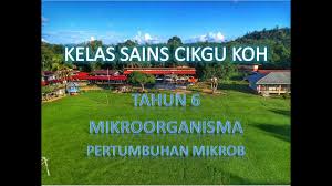 Sains tahun 6 mikroorganisma padankan. Mikroorganisma Pertumbuhan Mikrob Sains Tahun 6 Youtube