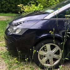 Image result for Vert Ottoman 1995 Renault