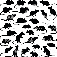 Rat And Mouse Collection Vector Silhouette In 2020 Mouse Silhouette Rat Silhouette Rats