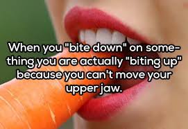 Deep thinking and deep thoughts, according to some scientists, belong to superior human beings with highly trained brains. 18 Insightful Shower Thoughts To Give Your Day New Meaning Funny Deep Thoughts Mind Blowing Thoughts Funny Thoughts