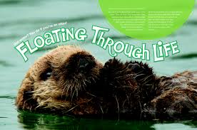 Storm aboard the 18th century sailing vessels brig beaver and eleanor! Floating Through Life Nwf Ranger Rick