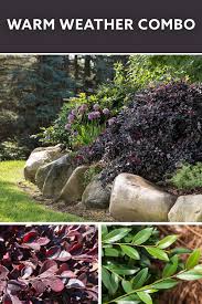 Perfect Plant Pairings Plants Backyard Plants Side Yard Landscaping