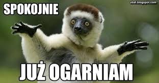 Znalezione obrazy dla zapytania memy śmieszne zwierzęta
