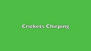 Crickets Chirping Sound Effect Youtube
