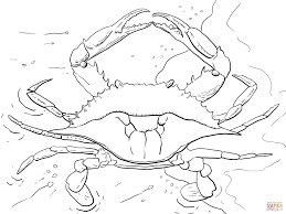 Atlantic Ocean Blue Crab Coloring Page Ocean Coloring Pages Coloring Pages Crab Art