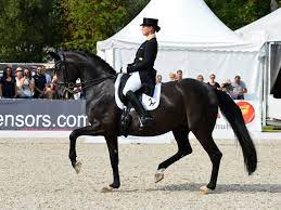 The queen of dressage, isabell werth, shows us why she is on the top of the dressage sport for so long! Stockholm Grand Prix An Werth Und Weihegold Personliche Bestleistung Von Schneider Und Sammy Davis Jr