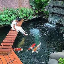 desain kolam ikan depan rumah -