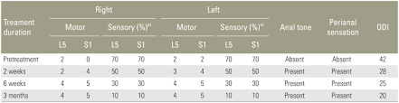 Asian Spine Journal