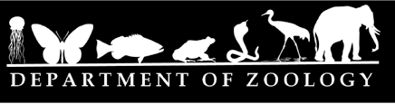 CSE department banner
