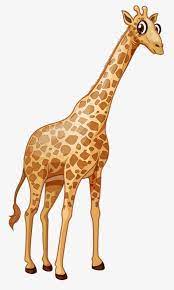 Cute Giraffe Png Africa Animal Animals In The Wild Backgrounds Brown Giraffe Cute Giraffe Giraffe Illustration