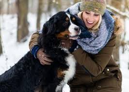 All animal pet hospital serves sioux falls, sd with high quality veterinary medicine. Top Rated Local Veterinarians All Pets Animal Hospital 24 Hour Emergency Care