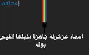 أفضل اسماء فيس بوك 2019 للبنات والشباب موقع محتوى