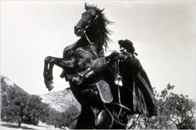 Resultado de imagem para zorro