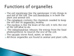 We did not find results for: By Addison Morgan Plant Cells Have A Bricklike Structure As Shown Enabling Them To Stand Since A Plant Has No Bones Unlike An Animal Plants Ppt Download