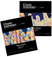 Classic Anthology Of Anatomical Charts Book Ebooklibrary