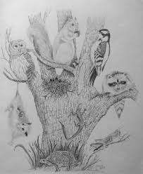 Nature Pencil Drawing Tree Of Life With A Variety Of Animals Original One Of A Kind Drawings Nature Drawing Tree Drawing