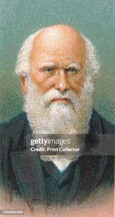 24 Print Young Darwin Stock Photos, High-Res Pictures, and Images