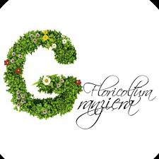 La periodista del gol caracol y blu radio hizo el anuncio este domingo con una foto que publicó en su cuenta de instagram. Floricoltura Granziera Home Facebook