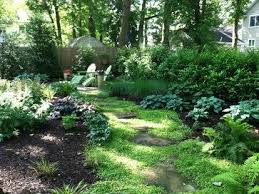 Pin By Susan On Landscaping Ideas Shade Landscaping Shady Backyard Ideas Landscape Design