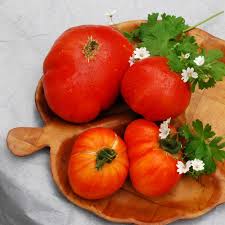 Heirloom pineapple tomatoes are open pollinated and the seeds can be saved from each crop to plant the. Tomato Pineapple Seeds Tomato Plant World Seeds