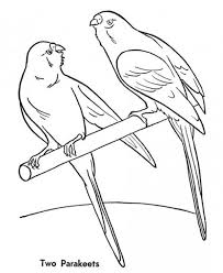 Parakeet Coloring Pages Best Coloring Pages For Kids In 2020 Coloring Pages Bird Coloring Pages Parakeet
