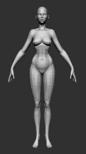 Female Base Mesh 3d Model Cgstudio Female Base 3d Model Female Anatomy Reference