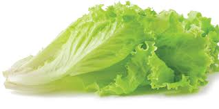 Hampir setiap tempat menyediakan lalapan pasti ada daun kemangi. Kandungan Gizi Sayur Selada