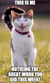 All pets are created equally, but some memes are funnier than others. Image Tagged In Happy Cat Imgflip