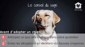 Jamais sans mon chien book. Adopter Un Chien Les Questions A Se Poser Pour Ne Pas Etre Decu