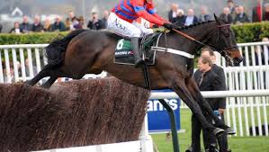 Sire De Grugy Looking To Cap Off Fine Season Cheltenham Race Festival Http Www Cheltenham Races Com 2014 Sire De Grugy L Cheltenham Races Cheltenham Racing